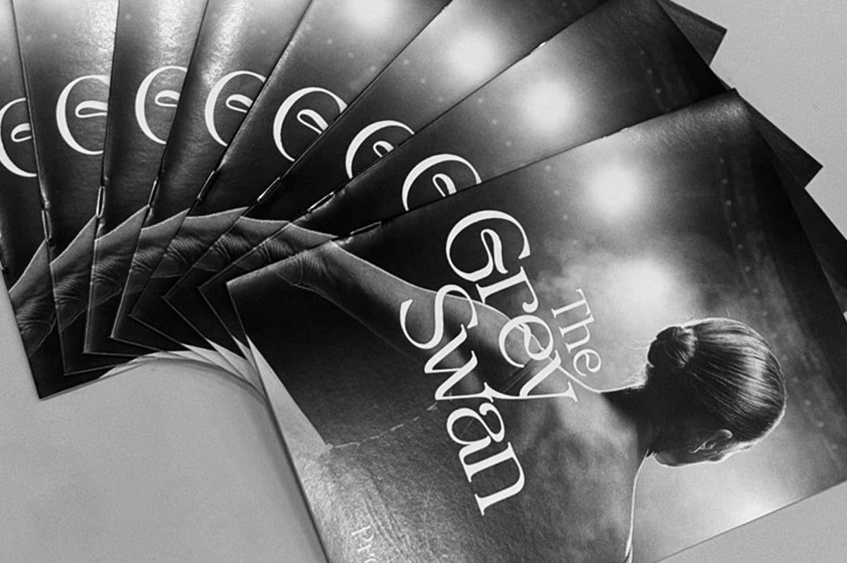The Grey Swan Program