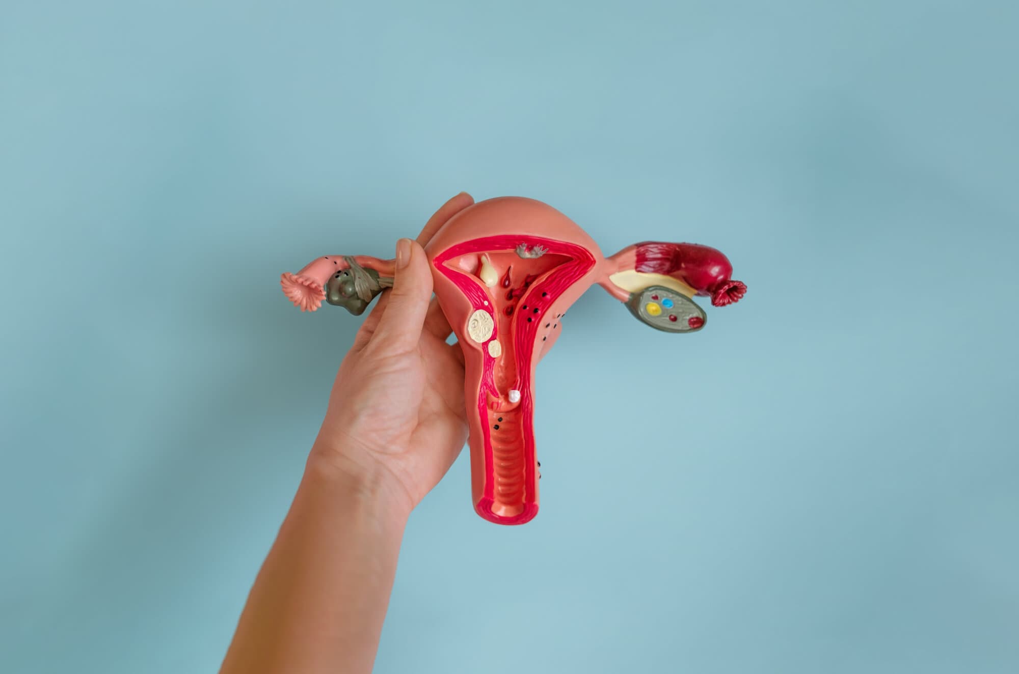 Kvinner Og Fertilitet